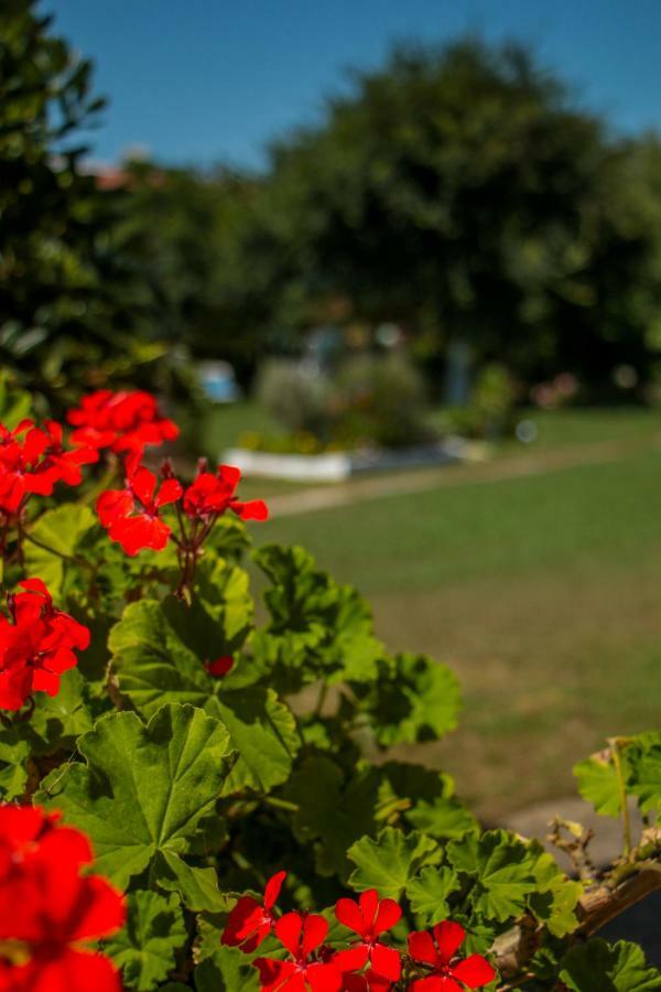Lefkes Apartments Acharavi  Dış mekan fotoğraf